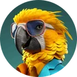svenk92